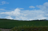 DSC02290