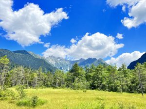 thumbnail_IMG_6968_R