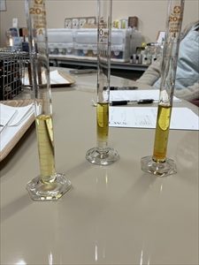 IMG_1623_R