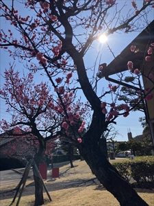 IMG_1932_R