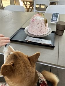 IMG_2323_R