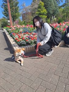 IMG_2404_R