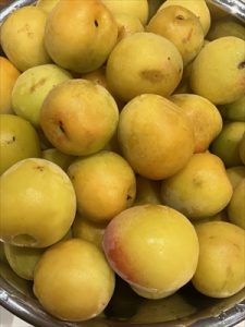IMG_3531_R