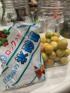IMG_3553_R