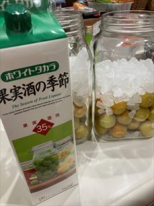 IMG_3554_R