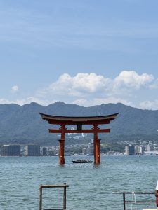 IMG_2472