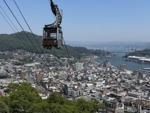 IMG_2596
