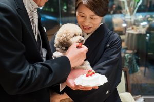blog-0235_R