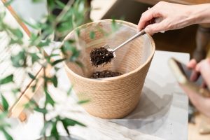 blog_0065_R