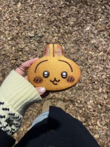 line_oa_chat_260116_202344_R