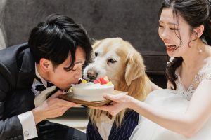 260222_VN_逕ｰ荳翫・譚醍_ｬ讒倥ヵ繧吶Ο繧ｯ繧・blog-147